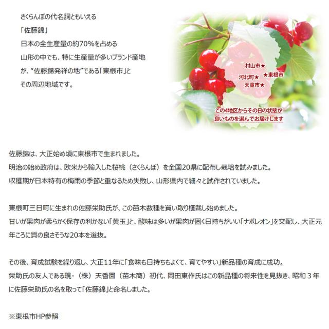 佐藤錦 山形県産 さくらんぼ 特秀品 Lサイズ 約700g （約350ｇ×2P）化粧箱 ※冷蔵 産地直送 ギフト 贈答 送料無料_8