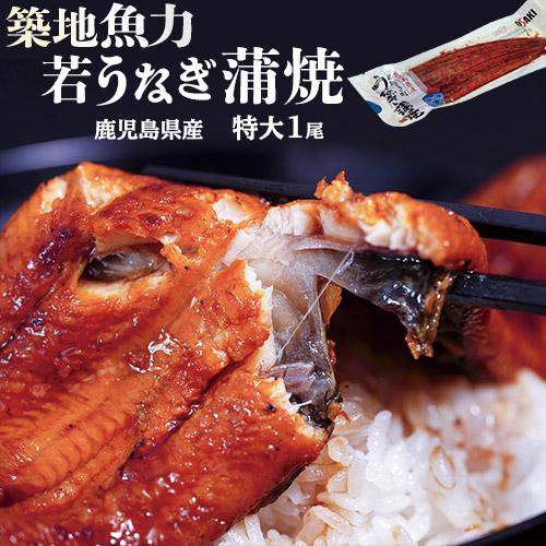 鰻 鹿児島県産 若うなぎ蒲焼 長焼 大サイズ 1尾 約160g たれ 山椒1p付き 冷凍 新仔 うなぎ 築地魚力の通販はau Pay マーケット 豊洲からの直送便
