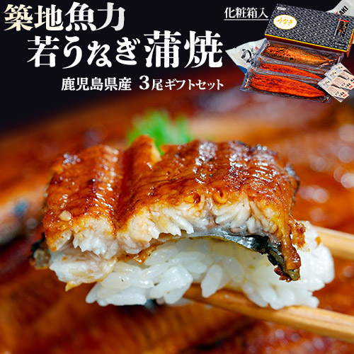若うなぎの蒲焼 鹿児島県産 3尾セット 築地魚力（1尾：約130g）化粧箱 山椒・たれ付き ※冷凍 送料無料