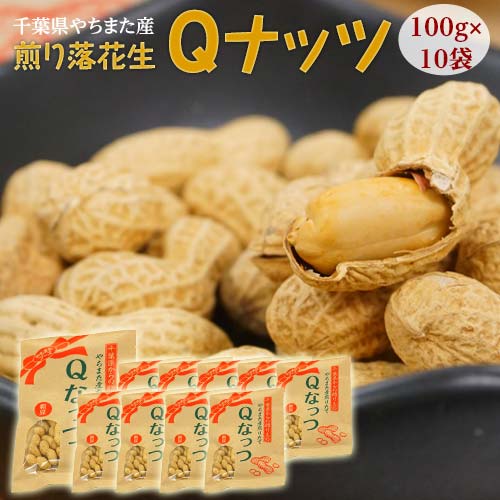 新品種『やちまた産 Qなっつ（キューナッツ）』 千葉県八街産 落花生 焙煎 100g×10袋 ※常温 送料無料の通販は