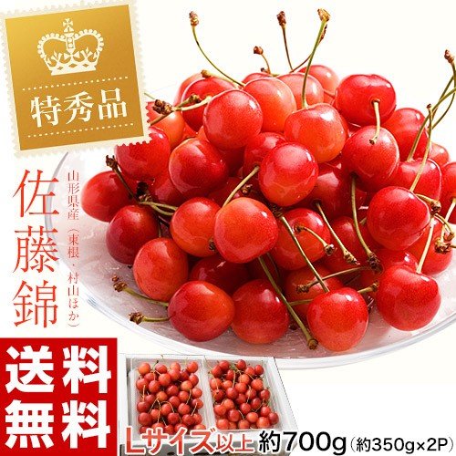 佐藤錦 山形県産 さくらんぼ 特秀品 Lサイズ 約700g （約350ｇ×2P）化粧箱 ※冷蔵 産地直送 ギフト 贈答 送料無料