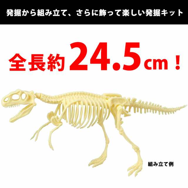 化石発掘キット 化石発掘体験 ティラノサウルス 恐竜 骨 掘り出し 組み立て 組立 実験キット 夏休み 小学生 男の子 子供 子ども こども  の通販はau PAY マーケット ミ・エストン au PAY マーケット－通販サイト