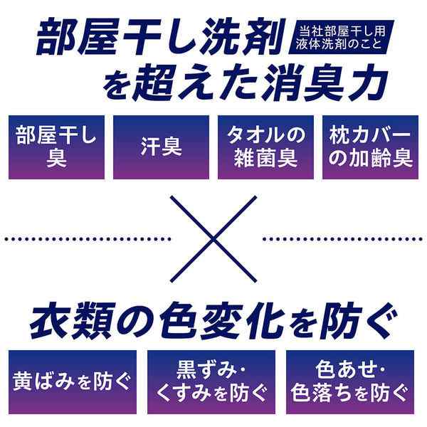 ライオン ナノックスワン NANOXone ニオイ専用 部屋干し 洗濯洗剤