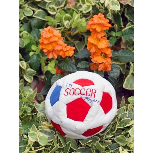 布のプレイトイ マイサッカープレイヤーズ 布絵本サッカーベアくん サッカーファンギフトセット幼児教育 送料無料の通販はau Pay マーケット こども生活クラブ