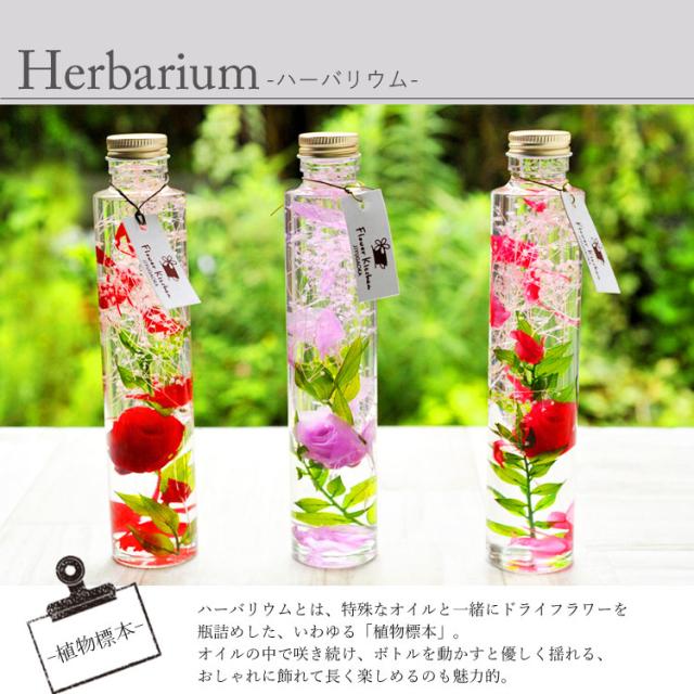 フローリストのデザイン ハーバリウム ボトル ハーバリウム 植物標本 翌日配達 送料無料 一部地域を除く 枯れない 花 フラワーの通販はau Pay マーケット Flowerkitchenjiyugaoka フローリストのデザイン ハーバリウム ボトル ハーバリウム 植物標本 翌日配達 送料無料 一部地域を除く 枯れない 花 フラワーの通販はau Pay マーケット Flowerkitchenjiyugaoka