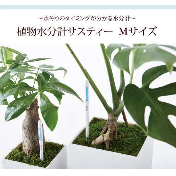 資材〕メール便送料無料 植物用水分計 水やりチェッカー キャビノチェ sustee サスティー Mサイズ交換用リフィル2本入り×1 FKKS  の通販はau PAY マーケット - FlowerKitchenJIYUGAOKA