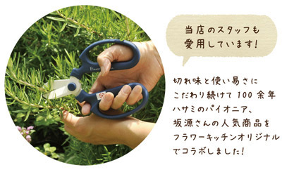 Flower Kitchen オリジナル 坂源 花はさみ　送料無料　ネコポス または ゆうパケット発送（日付指定不可）花はさみ F170 バイオレット FKRSL 園芸用はさみ