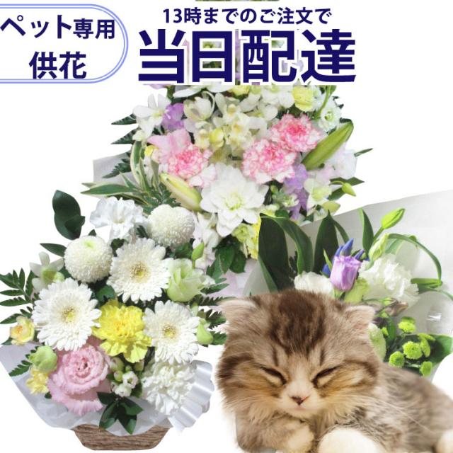 【13時迄の注文で本日お届け】【ペット専用】 お供え花 イーフローラ でお届け きょうはな配達　当日配送特急便　フラワーギフト ペットのお供え アレンジ 仏花 お供え お悔みの通販は 5,060円