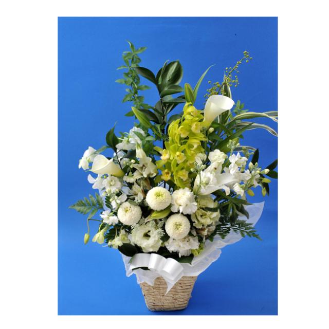 正規取扱店 お供え花 明日着 ユリ 供花 アレンジ 線香 花風ロータス蓮花 お花とお線香 セット お悔み お供え フラワーギフト 法事 命日 メッセージ 決算特価 送料無料 Keita Com Br