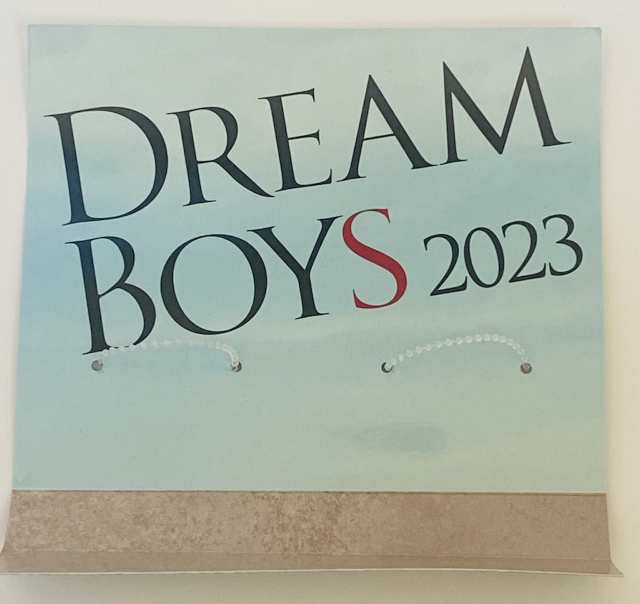 SixTONES 森本慎太郎 DREAM BOYS 2023 オフィシャルグッズ ぬいぐるみ