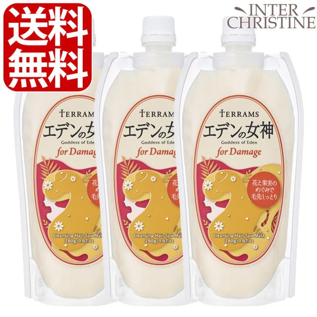 【セット】テラムス　エデンの女神 forダメージ　280g　×3個の通販は