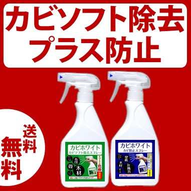 カビソフト除去スプレー450ml カビ防止スプレー450ml カビ取り カビ対策ok プロも取れないカビが簡単に取れます 03kabi の通販はau Pay マーケット ビーワンショップ