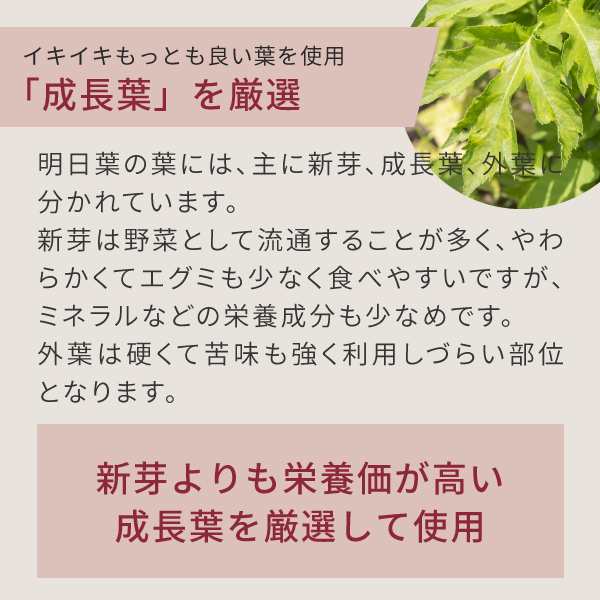 明日葉 パウダー 青汁 400g 八丈島産 国産 明日葉青汁 明日葉粉末 H40の通販はau Pay マーケット サプリの素材屋 ニチエー