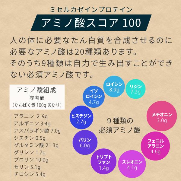 カゼインプロテイン プレーン 5kg 人工甘味料 無添加 ミセルカゼイン プロテイン ホエイプロテイン との併用や 女性 にもおすすめ 【沖縄県 送料必要】_5