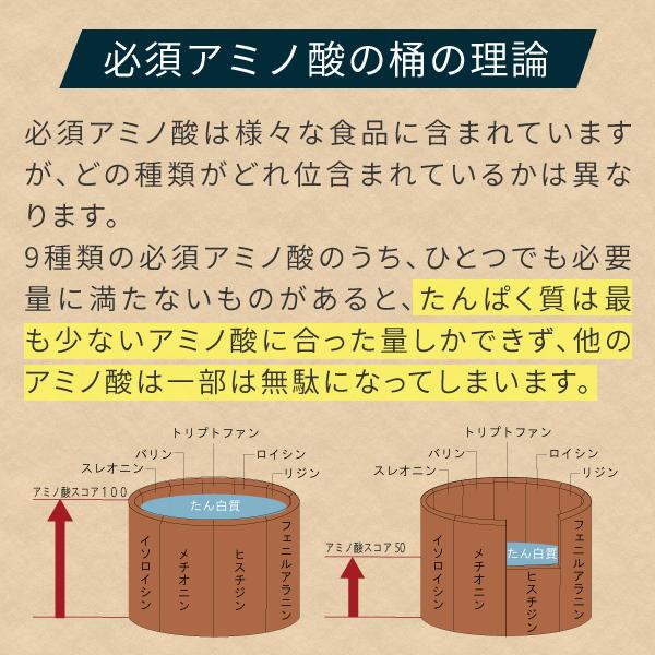 カゼインプロテイン プレーン 5kg 人工甘味料 無添加 ミセルカゼイン プロテイン ホエイプロテイン との併用や 女性 にもおすすめ 【沖縄県 送料必要】_6
