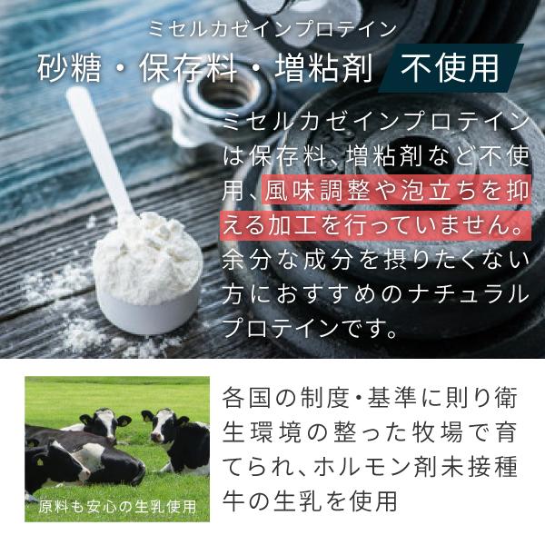 カゼインプロテイン プレーン 5kg 人工甘味料 無添加 ミセルカゼイン プロテイン ホエイプロテイン との併用や 女性 にもおすすめ 【沖縄県 送料必要】_7