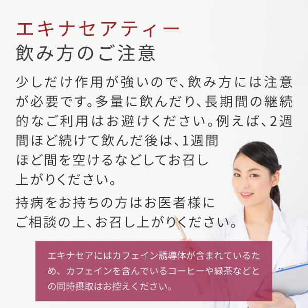 エキナセア 100g エキナセアティー ノンカフェイン ハーブティーの通販はau Pay マーケット サプリの素材屋 ニチエー