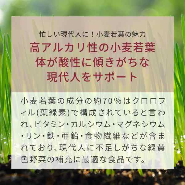 小麦若葉 青汁 粉末 国産 400g 鹿児島県産 ウィートグラス パウダーの通販はau Pay マーケット サプリの素材屋 ニチエー