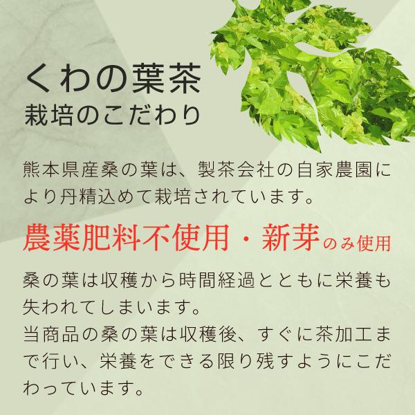桑の葉茶 桑茶 ティーパック 国産 2g 40個 熊本県産 桑の葉 を焙煎 無添加 桑葉茶の通販はau Pay マーケット サプリの素材屋 ニチエー