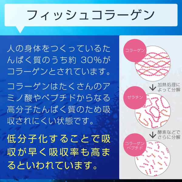 High コラーゲン 粉末 サプリ 100 1kg フィッシュ コラーゲンペプチド を手軽に摂取 大容量 コラーゲンパウダー M10の通販はau Pay マーケット サプリの素材屋 ニチエー