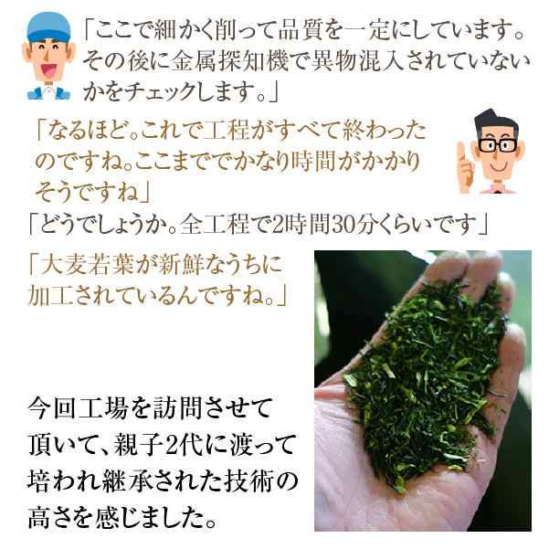 青汁 大麦若葉 大麦若葉青汁 国産 500g 九州産 新鮮な 大麦若葉 をすぐ加工し 粉末 にした 無添加 青汁 H10の通販はau Pay マーケット サプリの素材屋 ニチエー