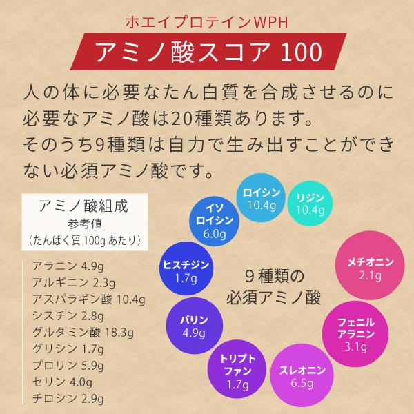 ホエイプロテイン WPH プレーン 3kg ホエイペプチド 含有 プロテイン で 人工甘味料 無添加 ホエイプロテイン100 ！ 女性 にもおすすめ 【沖縄県 送料必要】_5