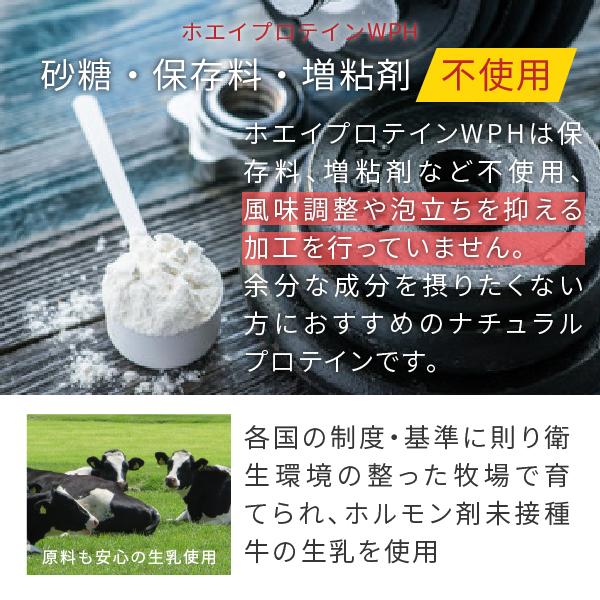 ホエイプロテイン WPH プレーン 3kg ホエイペプチド 含有 プロテイン で 人工甘味料 無添加 ホエイプロテイン100 ！ 女性 にもおすすめ 【沖縄県 送料必要】_7