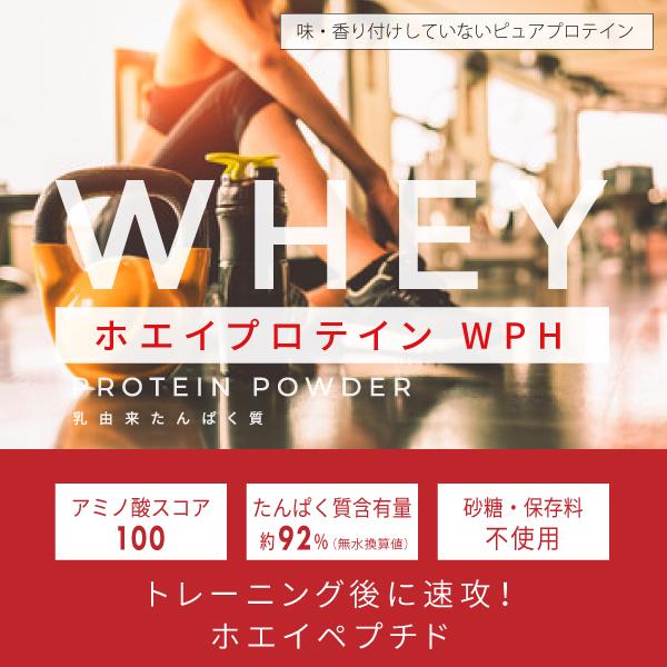 ホエイプロテイン WPH プレーン 3kg ホエイペプチド 含有 プロテイン で 人工甘味料 無添加 ホエイプロテイン100 ！ 女性 にもおすすめ 【沖縄県 送料必要】_9
