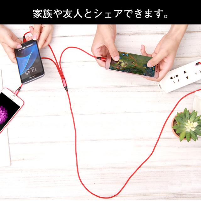 ケーブル 充電器 iPhoneケーブル iphone11 iphone 充電器ケーブル iPad