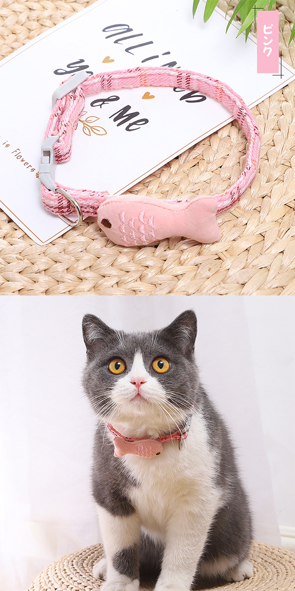 ジューンブライド、シングルリボン(ミルクベージュ②)わんちゃん猫