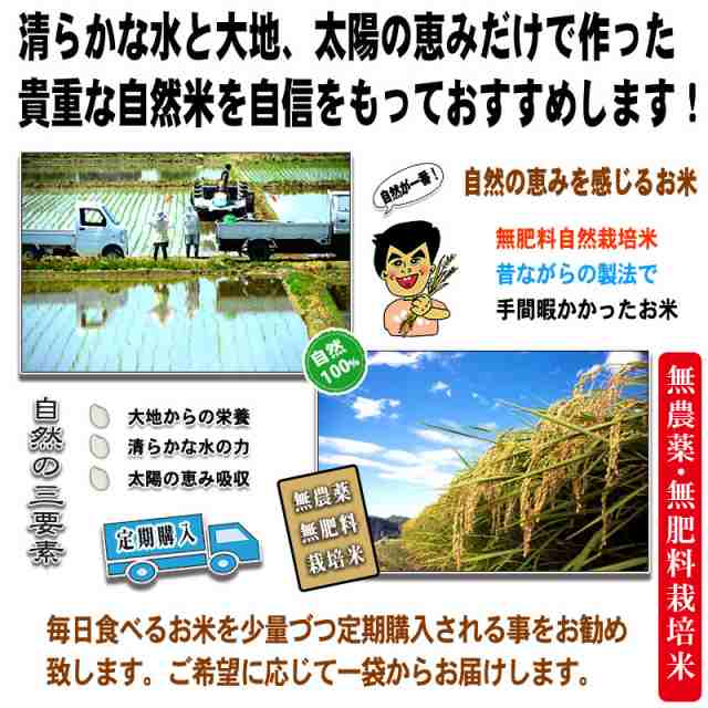 Z 森のこかげ 健やか穂米 2kg (1kg×2個セット) 玄米 白米 無農薬 無肥料米 送料無料 北海道 沖縄 離島も可 森のこかげ 健やかハウスの通販はau  PAY マーケット - いーぴこっと