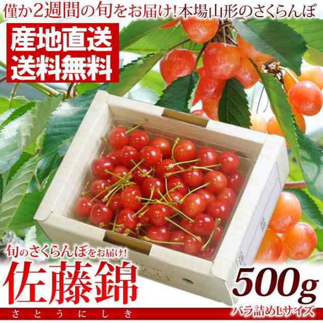 露地栽培 さくらんぼ佐藤錦500gバラ詰めlサイズ 秀 特秀 産地直送 取り寄せ サクランボ 山形産 送料無料の通販はau Pay マーケット こだわり厳選食品館