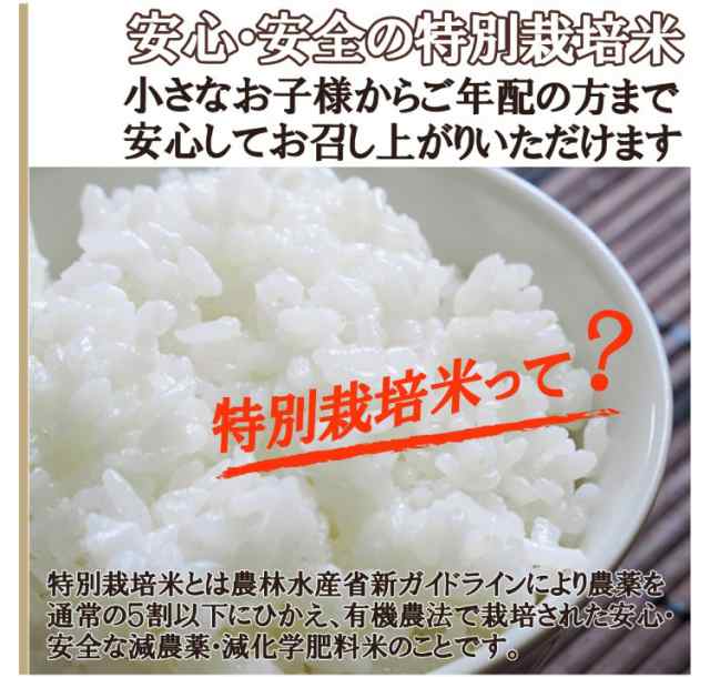 精米済（送料無料）の通販はau　特栽はえぬき5kg・特栽コシヒカリ5kgセット　白米　こだわり厳選食品館　マーケット　PAY　au　令和5年　マーケット－通販サイト　山形県産　PAY