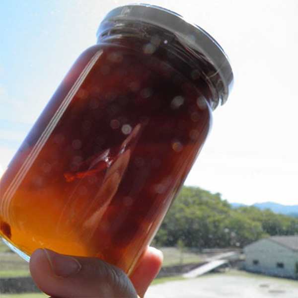 かりんの蜂蜜漬け 350g 3本セット はちみつ 奈良県産の通販はau Pay マーケット こだわり厳選食品館