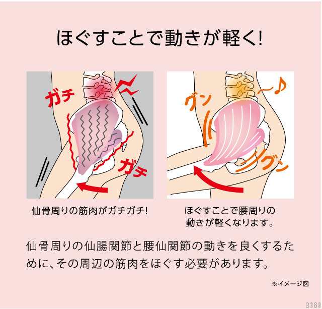 PROIDEA プロイデア コシレッチ 骨盤 ストレッチ 骨盤矯正 マッサージ 腰 ゆがみ 歪み ダイエット 骨盤マッサージ 指圧代用器  マッサージの通販はau PAY マーケット - キレイになりたい