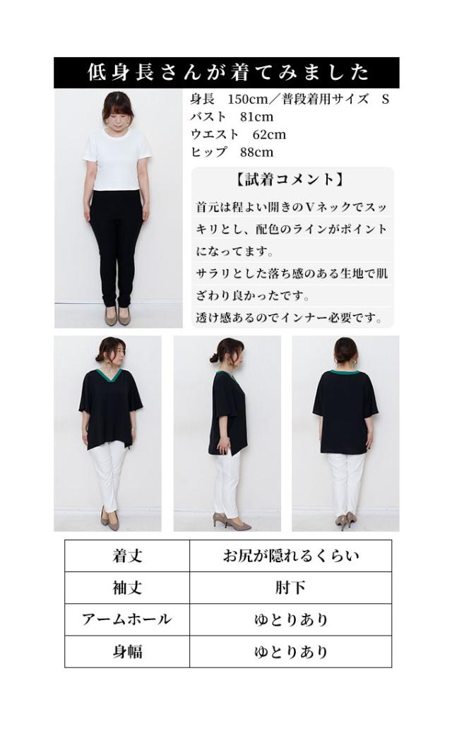 春新作 コーデを選ばない万能さ配色ライントップス レディース ファッション トップス カットソー Tシャツ Vネック 配色 バイカラー ライン 半袖 無地 シンプル 30代 40代 50代 60代 サワアラモード sawaalamode otona 大人 cawaii 可愛い 洋服 かわいい服 swjun-819s