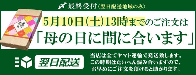 【超早得30％OFFクーポン利用で8,049円】母の日 早割 うなぎ 国産 ギフト 蒲焼き 211-230g×3尾 特々大サイズ 約6人前 風呂敷包み 送料無料 豊橋うなぎ プレゼント 贈り物 真空パック お祝 鰻 専門店 愛知県産 三河産 食べ物 グルメ 海の幸 誕生日 花以外 お祝い 50代 60代の通販は