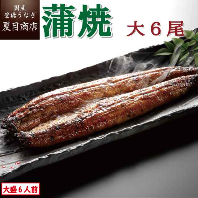 うなぎ 国産 蒲焼き 大155-180g×6尾 大盛6人前 豊橋うなぎ ウナギ 鰻 送料無料 ハロウィン お歳暮 誕生日 プレゼント 食べ物 真空パック