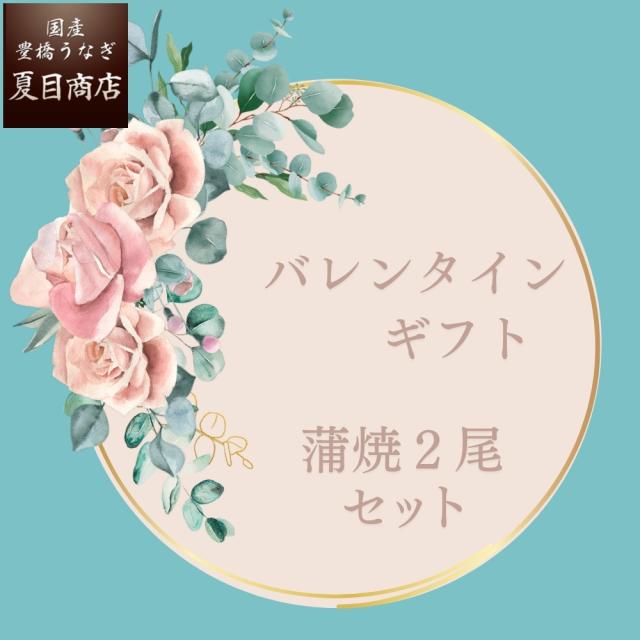 うなぎ 国産 2025年 ギフト 蒲焼き 115-130g×2尾 中サイズ 約2人前 送料無料 豊橋うなぎ プレゼント 贈り物 真空パック お祝 鰻 専門店 愛知県産 三河産 食べ物 グルメ 海の幸 御祝 母の日 誕生日 お祝いの通販は 5,201円