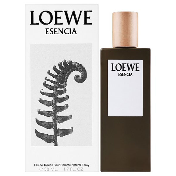 送料無料  ロエベ エセンシア EDT オードトワレ SP 50ml 香水 LOEWE