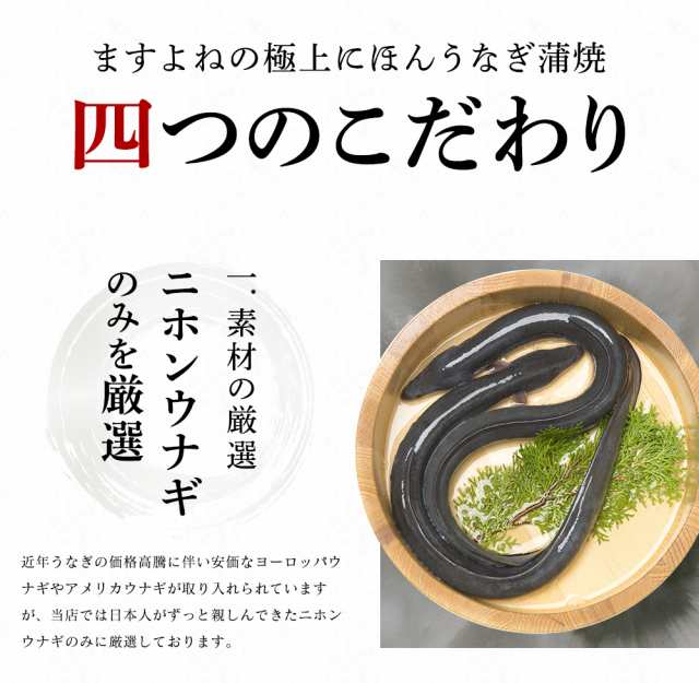 父の日 ギフト うなぎ ウナギ 鰻 ニホンウナギ蒲焼 台湾産 超特大うなぎ薄焼き2尾セット 2g 250g 2尾 送料無料 タレ 山椒 化粧箱の通販はau Pay マーケット 越前かに問屋ますよね