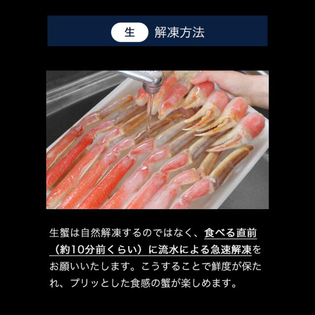 かに カニ 蟹 高級ギフト箱仕様 カット済み 生本ずわい蟹1.8kg/総重量2.4kg かに カニ 蟹 カニ鍋 鍋 ズワイガニ のし可 脚 焼き蟹 お刺身 蟹しゃぶ お歳暮_4