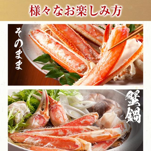 かに カニ 蟹 切り目入り カット済み ボイル本ずわい蟹1.8kg(総重量2.4kg) 送料無料 ずわいがに ズワイガニ ズワイ ずわい のし可 お歳暮 ギフト_7