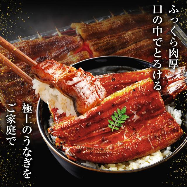 ギフト 満足の4尾セット 国産 うなぎ 蒲焼き 極上うなぎ蒲焼2本セット 165g前後×4本 タレ/山椒付き のしOK うなぎ ウナギ 鰻 ギフト のし可 贈り物 プレゼント 鹿児島県/愛知県産/宮崎県産 お中元_stg お中元 土用の丑の日_1