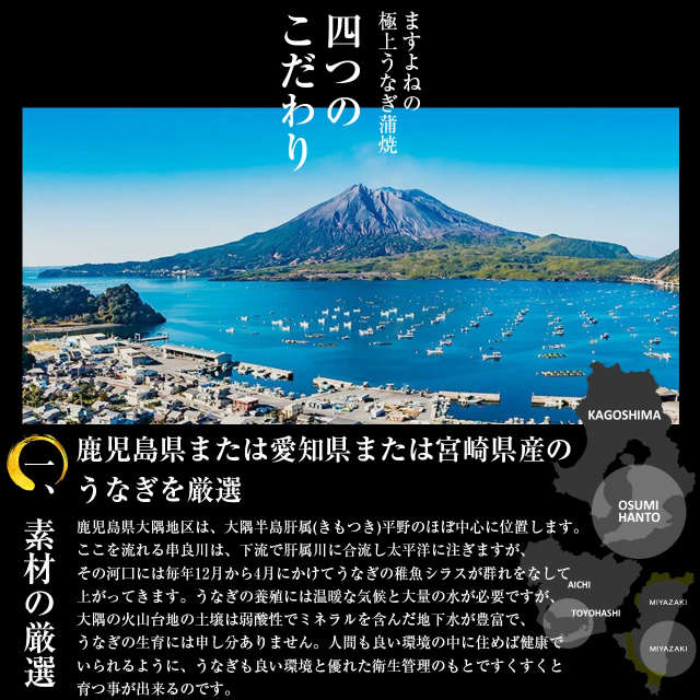 ギフト 満足の4尾セット 国産 うなぎ 蒲焼き 極上うなぎ蒲焼2本セット 165g前後×4本 タレ/山椒付き のしOK うなぎ ウナギ 鰻 ギフト のし可 贈り物 プレゼント 鹿児島県/愛知県産/宮崎県産 お中元_stg お中元 土用の丑の日_3