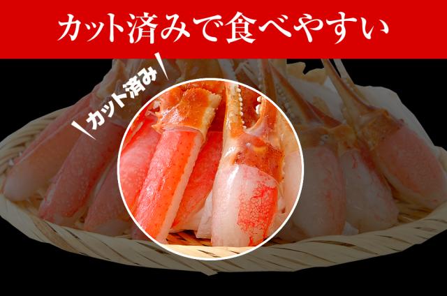 かに カニ 蟹 特盛3kg カット済み 生ズワイ蟹 爪・爪下・肩肉3kgセット お刺身OK 特大3L〜4Lサイズ厳選 生本ずわい蟹3kgセット 送料無料 ズワイガニ 鍋 のし可 お歳暮 ギフト_3