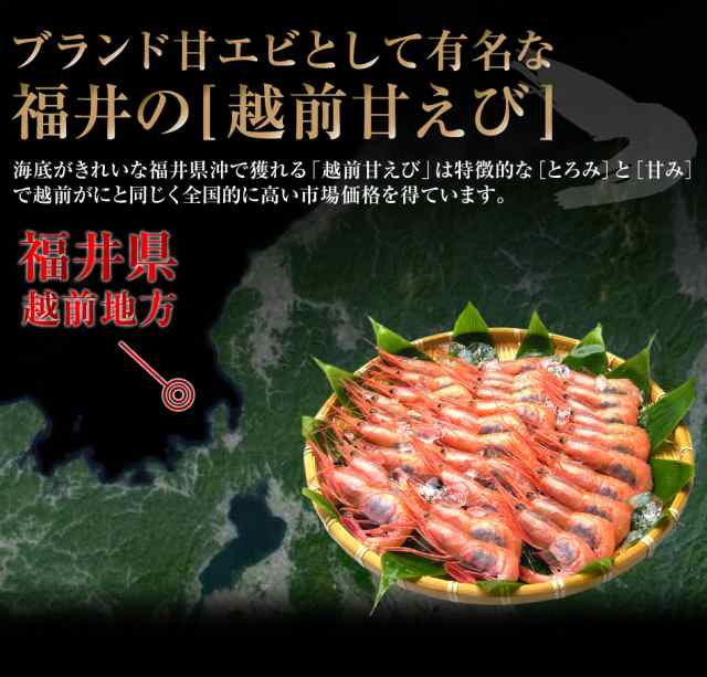 えび エビ 海老 お刺身OK 日本海産子持ち甘えび500g※約35尾-40尾入 送料無料 あまえび アマエビ 甘海老 甘エビ のし可 ギフトの通販はau  PAY マーケット - 越前かに問屋ますよね