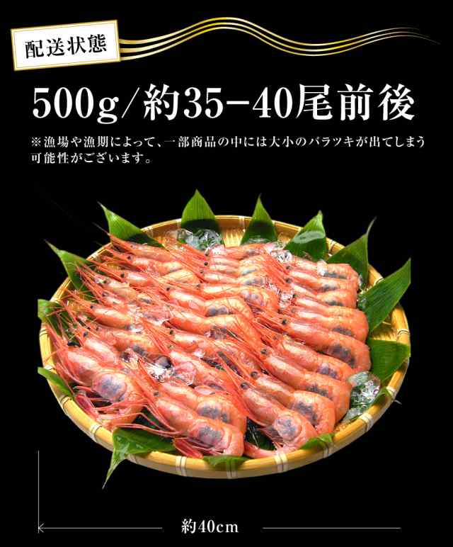 えび エビ 海老 お刺身OK 日本海産子持ち甘えび500g※約35尾-40尾入 送料無料 あまえび アマエビ 甘海老 甘エビ のし可 ギフトの通販はau  PAY マーケット - 越前かに問屋ますよね