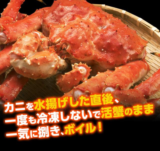 超特大 たらば脚 総重量2.2kg!! 特大たらば蟹厳選 極上たらば蟹足2.2kg/net2kg (ボイル/冷凍) かに カニ 蟹 たらばがに タラバガニ タラバ蟹 カニ鍋 鍋 お歳暮 ギフト のし可