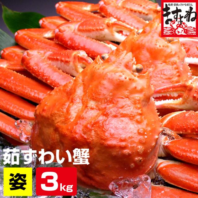 【特盛3kg】訳あり カニ 蟹 かに 5尾〜7尾入 ボイル本ずわい蟹姿3kg※同梱不可 【訳あり 足折れ有 キズ有】 送料無料 カニ鍋 鍋 ズワイ のし可 ギフト 丸ごと 焼き蟹